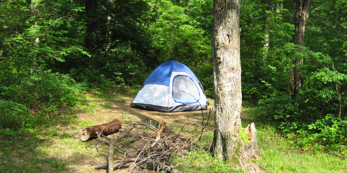 A Camping Paradise: Camping setting at Ginnie Springs