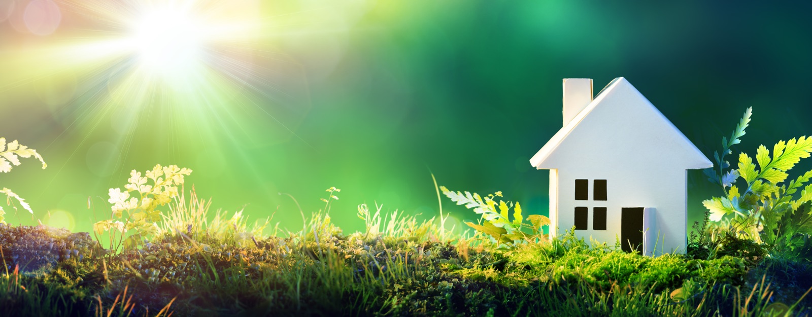 Eco-friendly Oasis: Exploring Green Homes and Sustainable Living in Florida