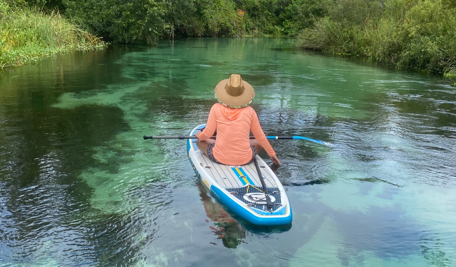Beyond the Beach: Exploring Florida's Magical Natural Springs
