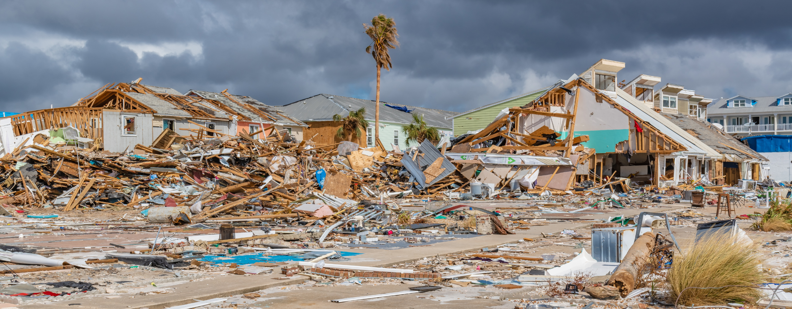 Florida Homeowners Insurance in 2024: Trends, Challenges, and Solutions