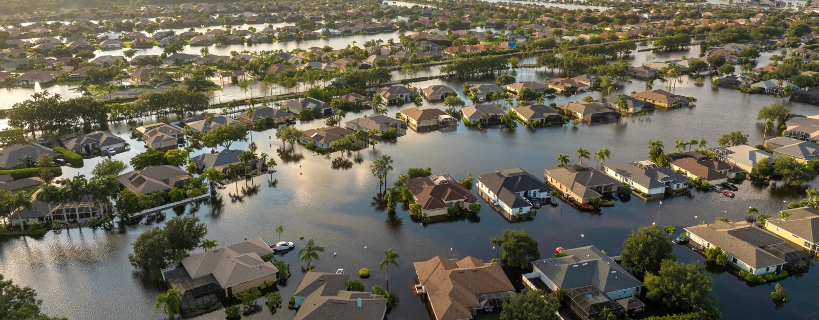 What to Do When Returning to a Hurricane-Damaged Property