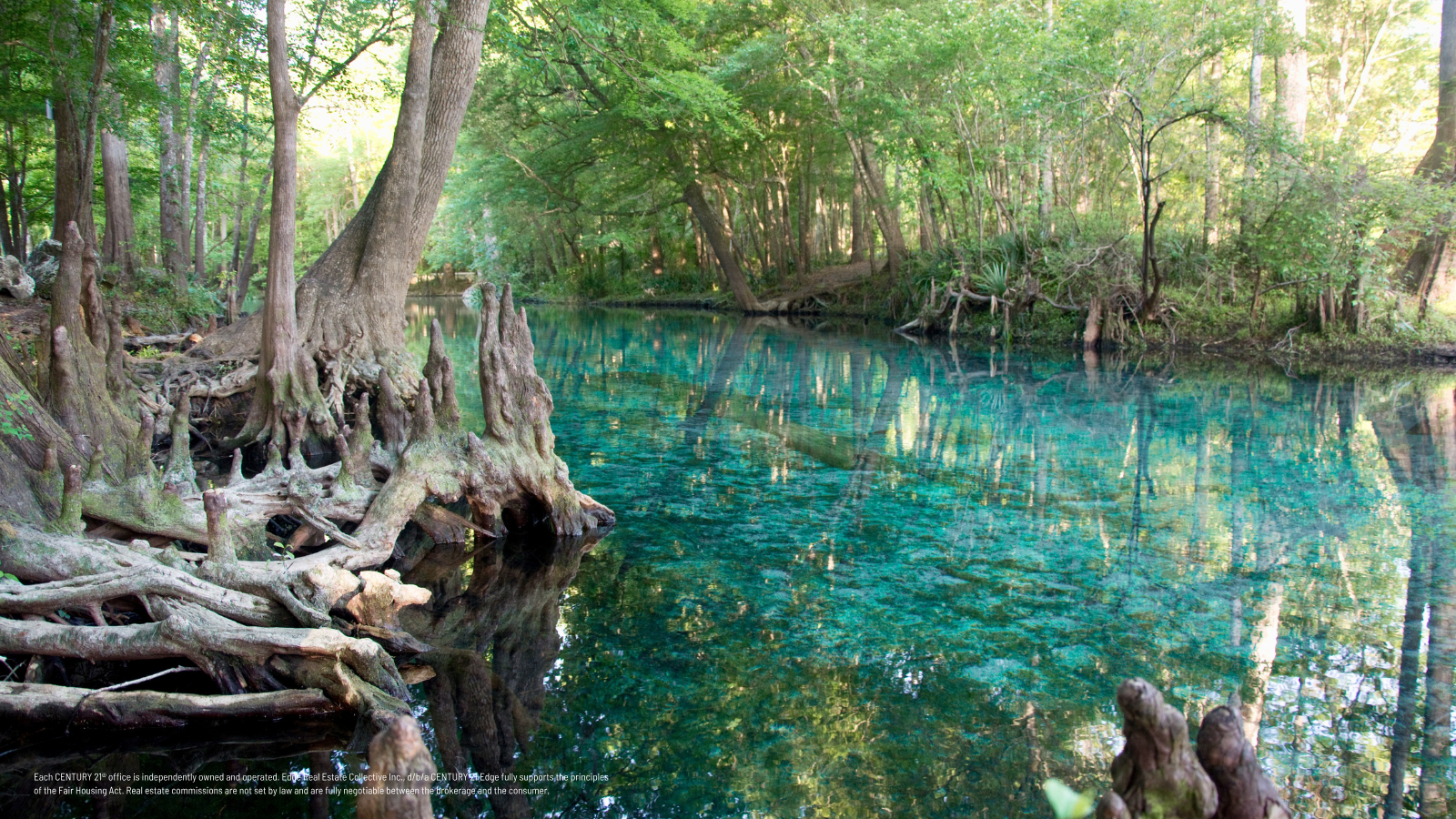 Ginnie Springs: Florida’s Ultimate Freshwater Playground