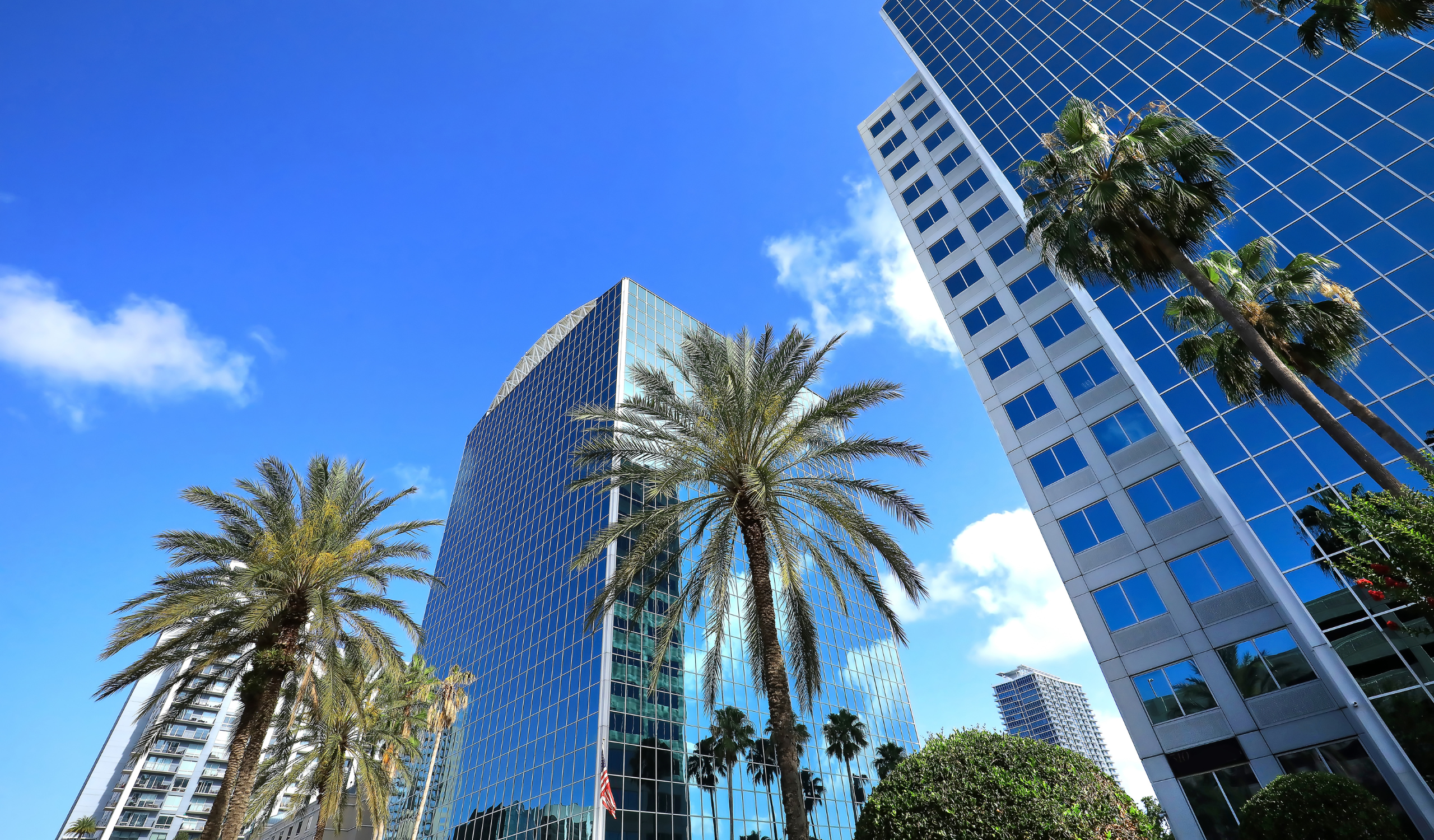 The Rise of the Orlando-Tampa Metroplex