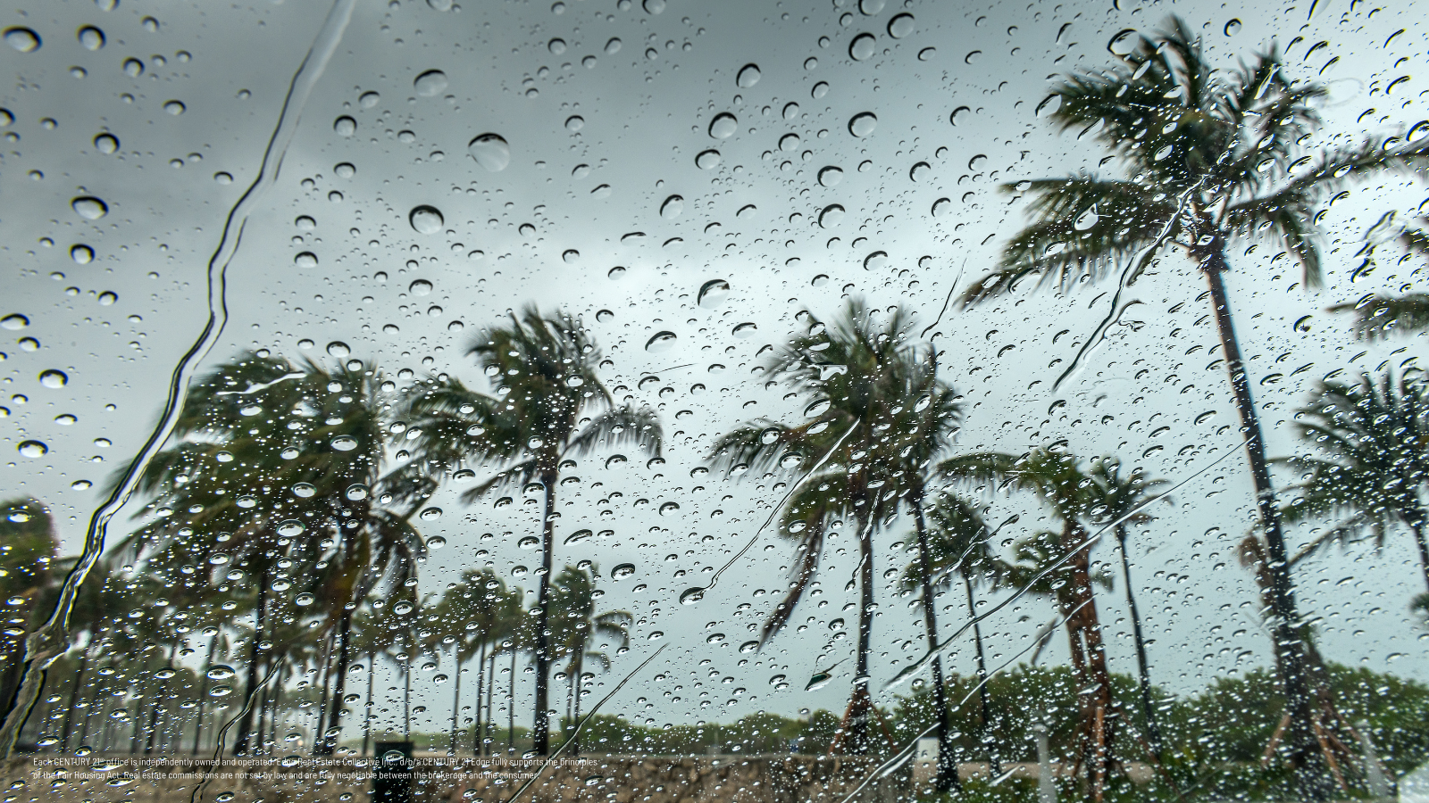 Climate Resilience in Commercial Properties: Designing for Extreme Weather